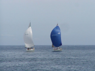 p0727043