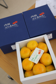 I28A0018