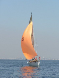 p4240098