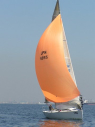 p4240099