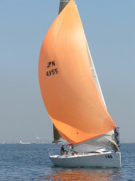 p4240100