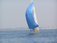 p4240102