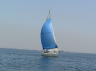p4240104