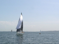p4240146