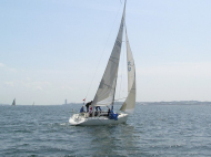 p4240152