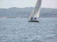 p4240159