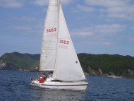 26