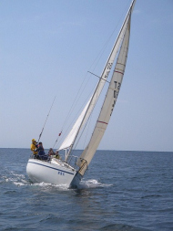 30