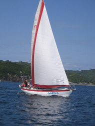 34