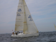 230