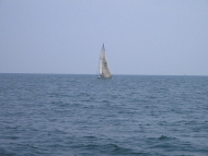 040