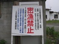 050
