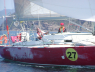 230