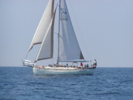 236