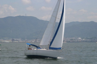 250