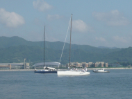 P1010508