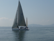 P1010524