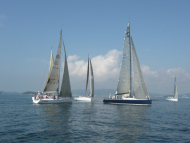 P1010594