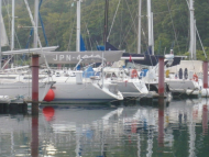 110