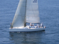 381