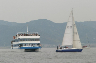 134_large