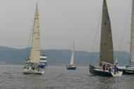 137_large
