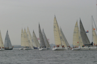 196_large