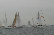203_large