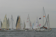 206_large