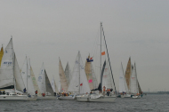 209_large