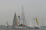 215_large
