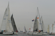 216_large