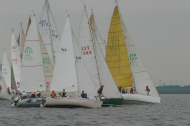 217_large