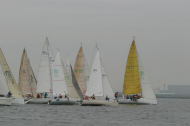 219_large
