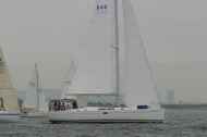 224_large