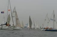226_large