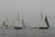 228_large