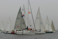 229_large