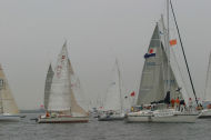 230_large