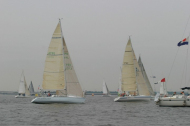 231_large