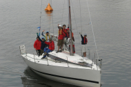 243_large