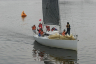 255_large