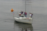 262_large