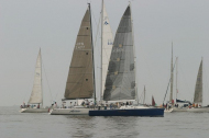 81_large
