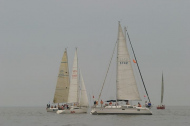 82_large