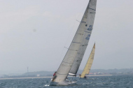 129_large