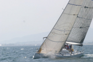 131_large