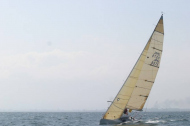 145_large