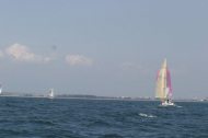195_large