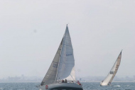 196_large